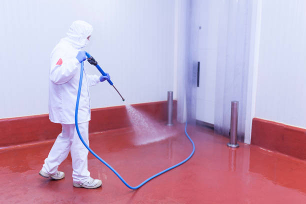 Best Pre-Holiday Cleaning  in Sandy Springs, SC